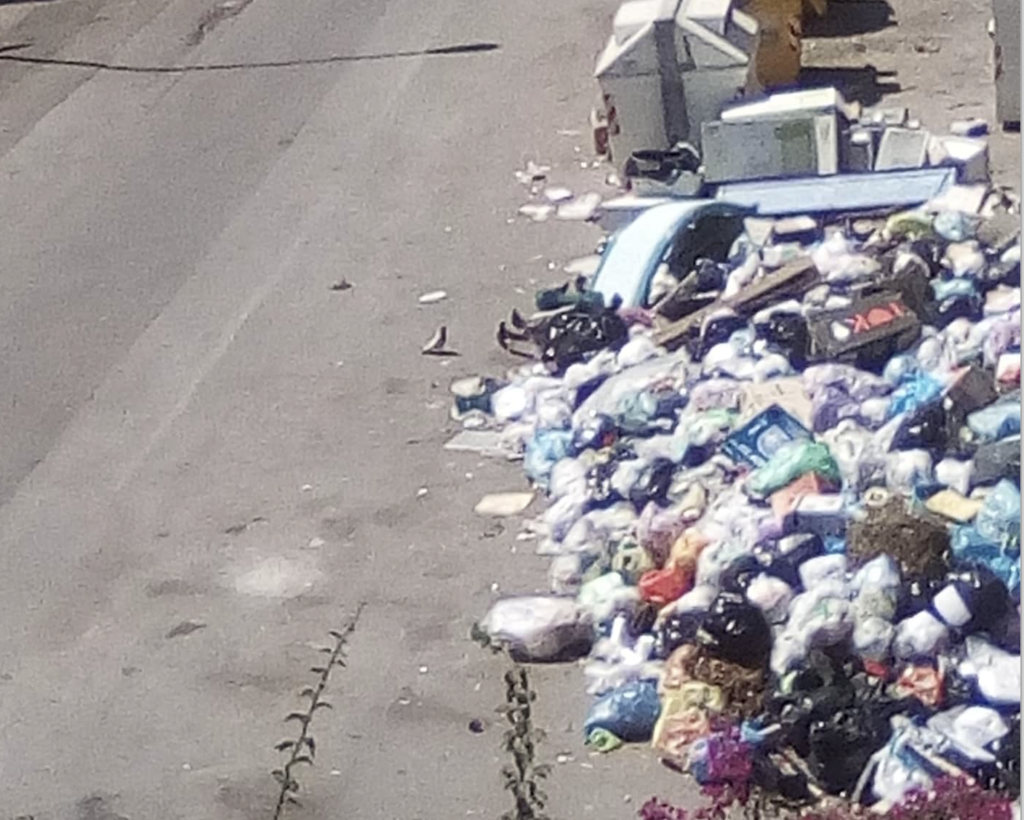 Raccolta rifiuti a rilento a Palermo, cittadini denunciano discariche
