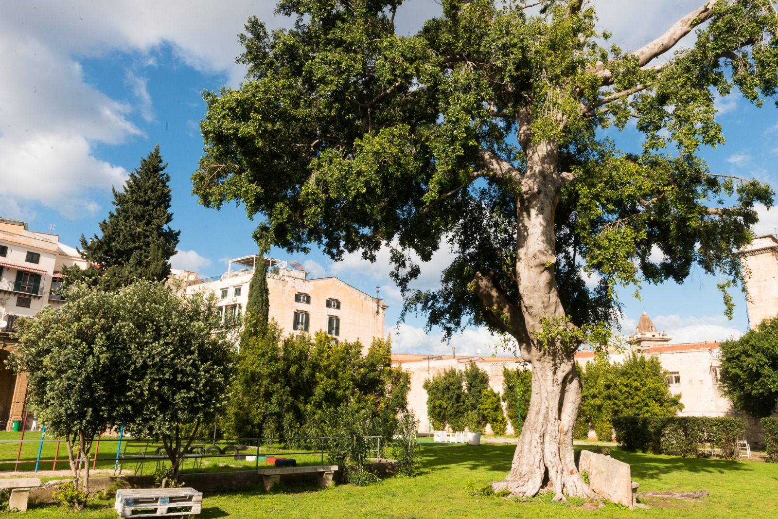 Weekend a Villa Filippina, il mercato vintage, la spesa bio, sport e pranzo all’aria aperta