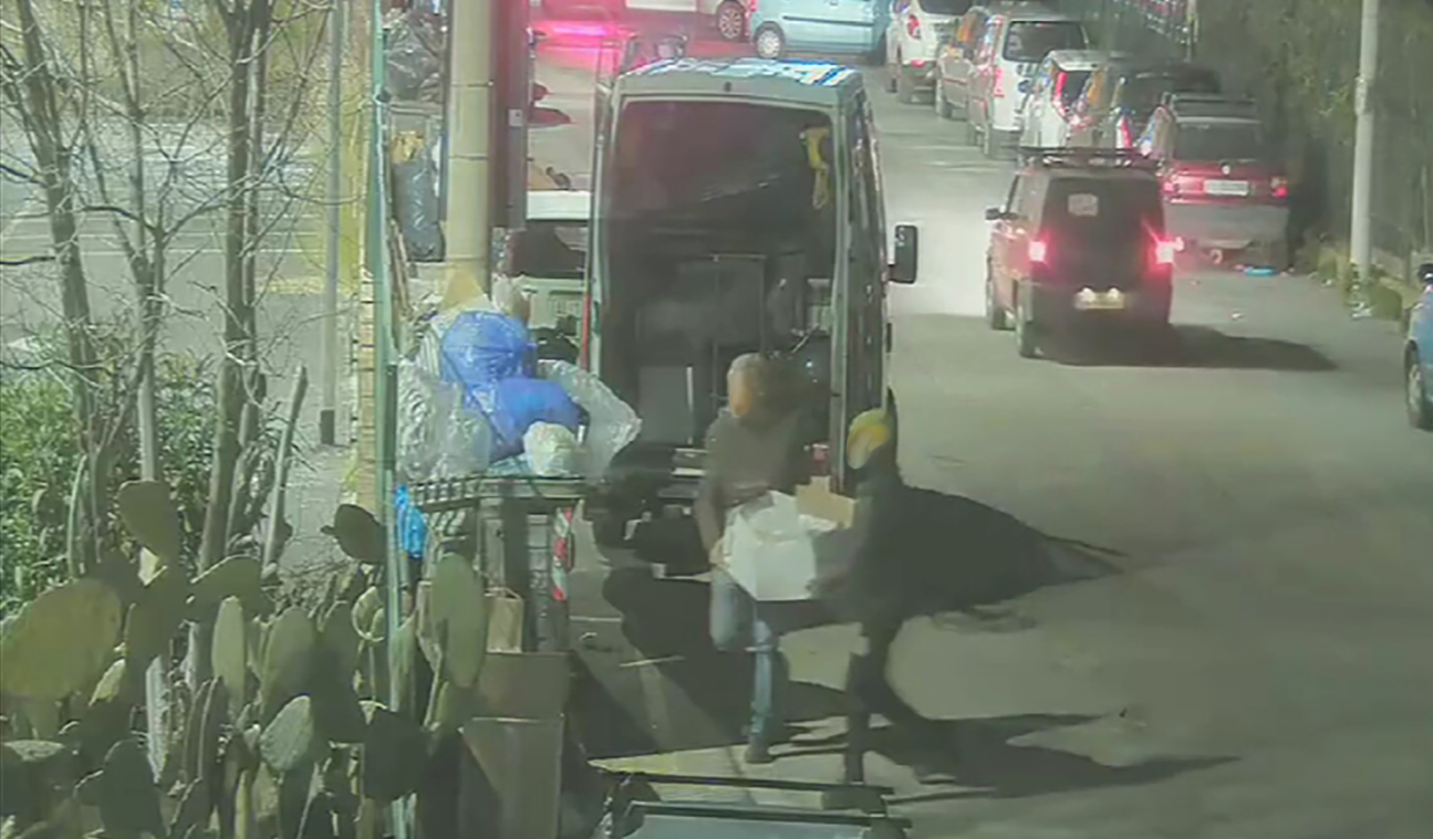 Conferimento rifiuti Palermo, regolare 1,75%: tutti i numeri