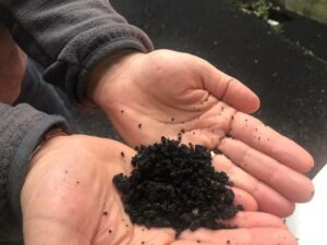 La pioggia di cenere sui territori ai piedi dell'Etna non accenna a fermarsi provocando danni e...