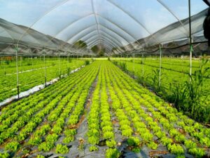 ROMA (ITALPRESS) - Cooperazione nella ricerca, formazione e informazione, iniziative congiunte...