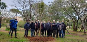 E’ stato piantumato simbolicamente stamani a Villa Trabia, un ligustrum, un albero  della famiglia...