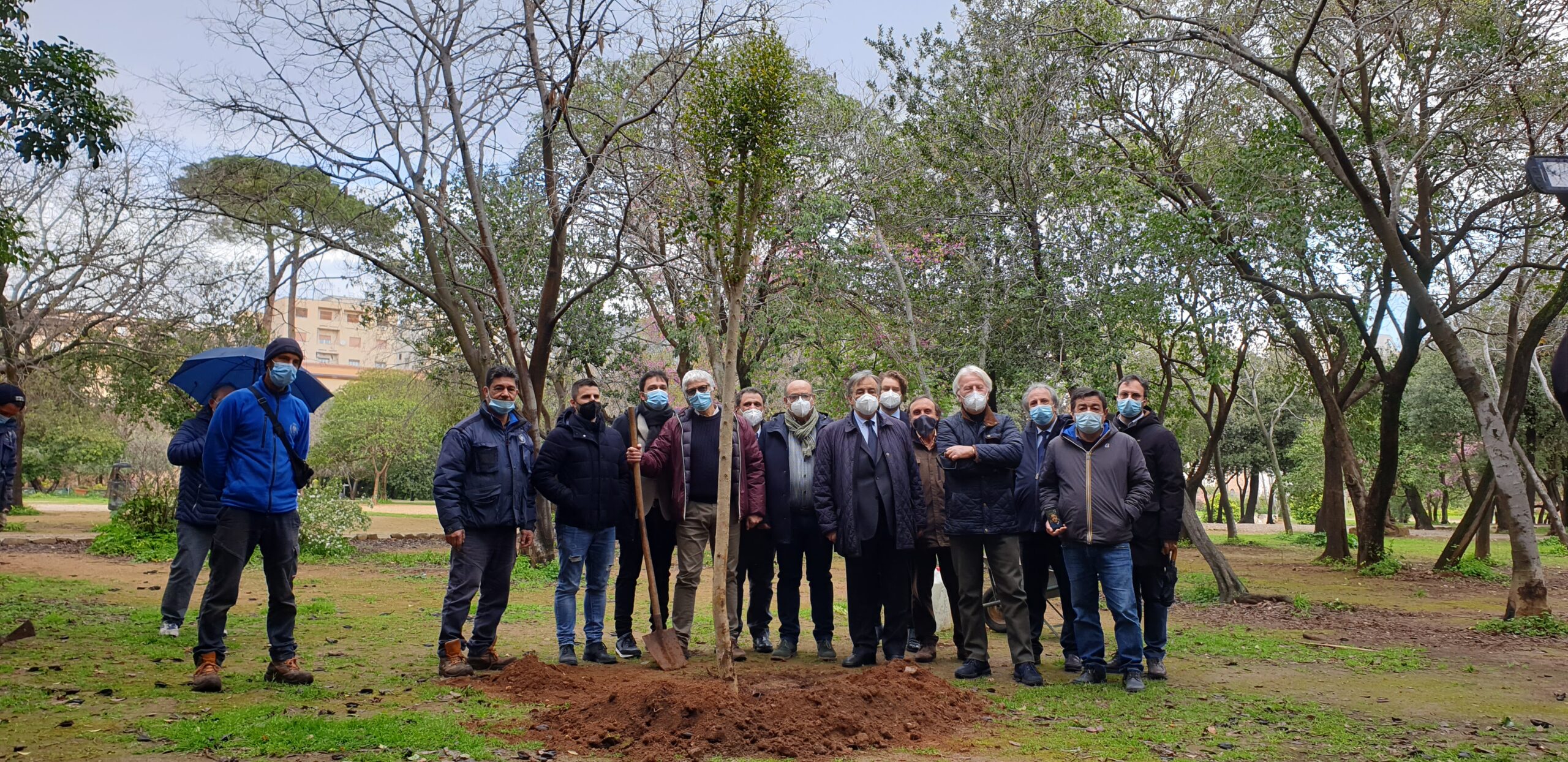 Giornata  in memoria delle vittime da Coronavirus: piantumato un ligustrum a Villa Trabia