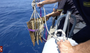 Avviato il restauro dell'ultimo rostro recuperato dalla Soprintendenza del mare della Regione...