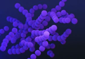 ROMA (ITALPRESS) - Arrivano altre conferme da studi, sia in vitro che in vivo, sugli effetti...