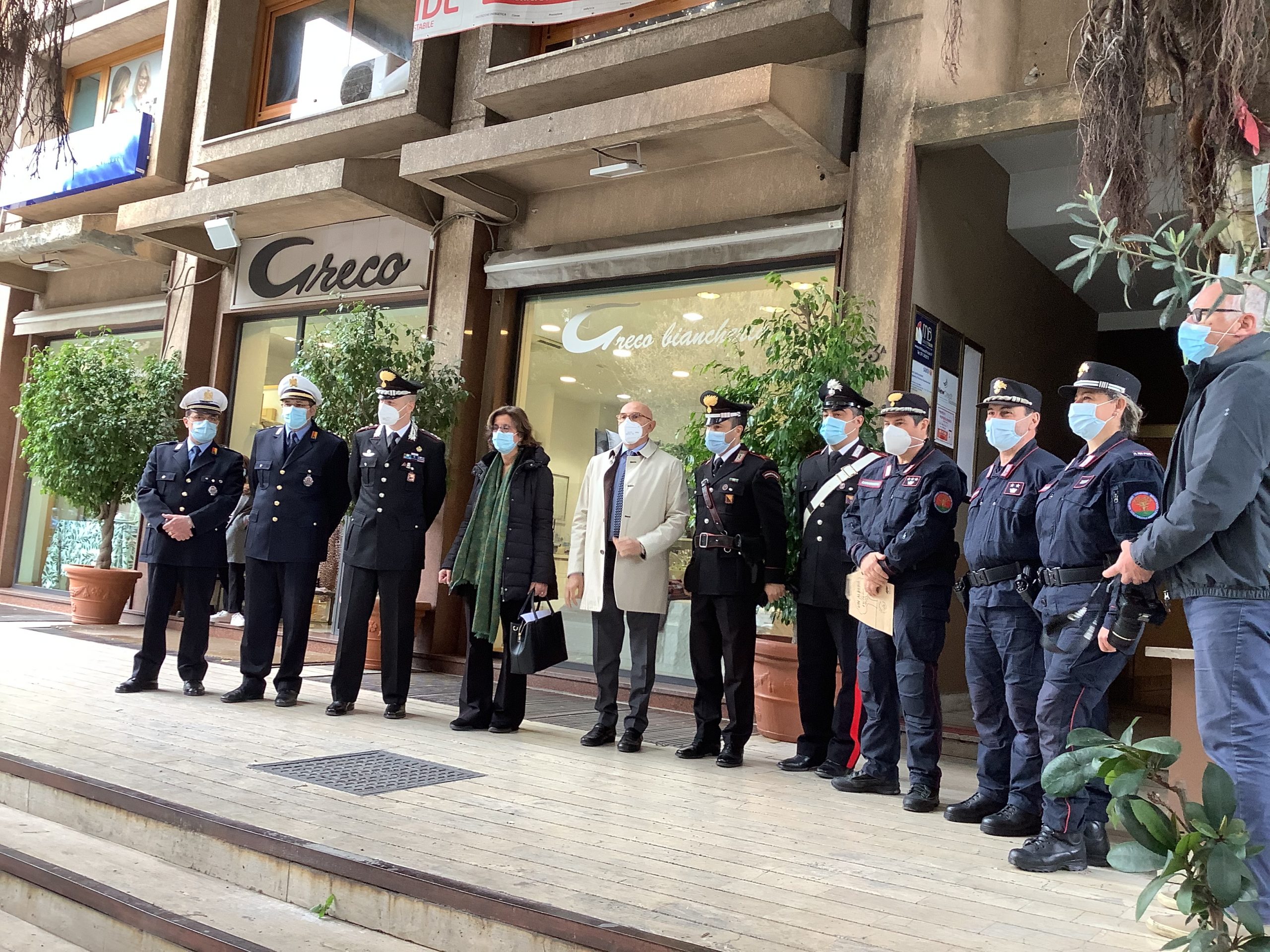 Da Palermo 500 gemme dell’Albero Falcone nelle scuole italiane