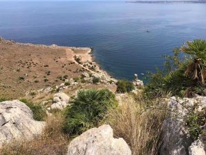 "Ci siamo: partono i lavori su Monte Cofano e, come mi assicurano i tecnici, se non ci saranno...