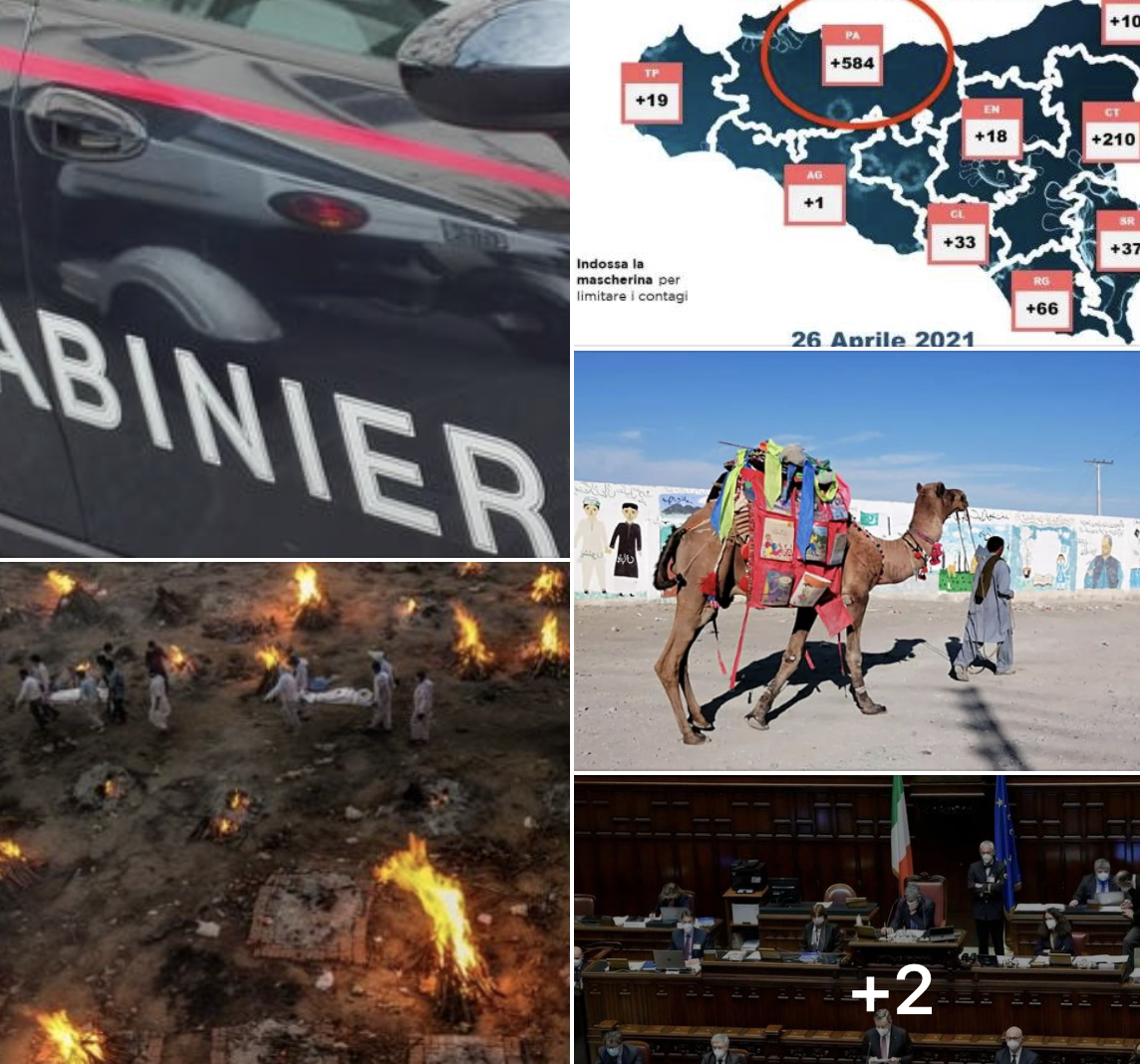 #Tanomattinale 27 aprile 2021: il reddito indebito, Coviddi, la tragedia indiana e l’allarme palermitano, il cammello con i libri, il Super Tutto e il PNRR, “Nient’altro che la verità”