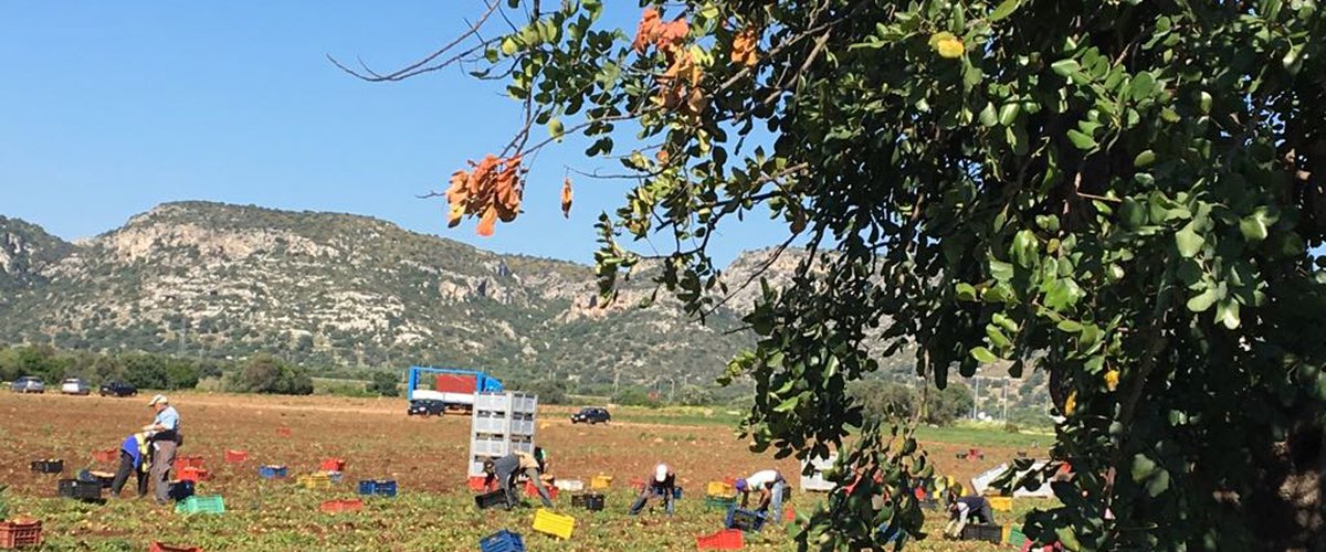 Cassibile (Sr), nuovo campo di accoglienza lavoratori immigrati