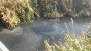 In data 22 aprile scorso i militari della Guardia Costiera di Palermo, sotto il coordinamento della...