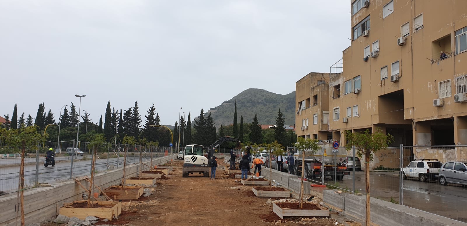 Allo Zen 2 di Palermo si piantano trenta alberi dove sorgerà un parco per bimbi