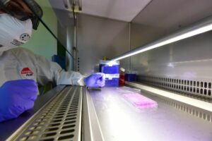 ROMA (ITALPRESS) - In calo i nuovi casi Covid in Italia. Nelle ultime 24 ore, secondo i dati del...