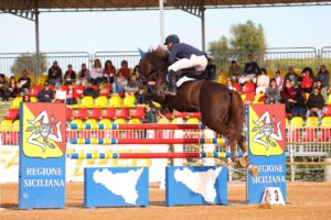 Tutto pronto, in Sicilia, per la terza edizione della Fiera mediterranea del cavallo, organizzata...