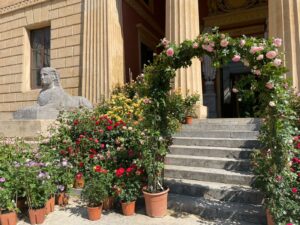 Fino a domenica 13 giugno la Zagara di primavera, la mostra mercato di giardinaggio e florovivaismo...