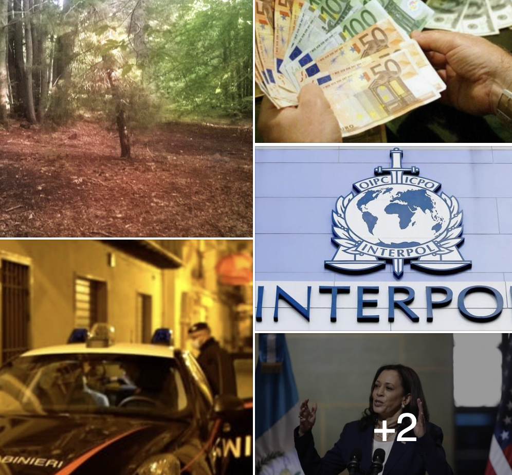 #Tanomattinale 10 giugno 2021: Ambiente nella Costituzione italiana, boss nigeriani e usurai arrestati, Interpol contro farmaci anti Covid fasulli, Kamala che respinge, Orizzonte di gloria