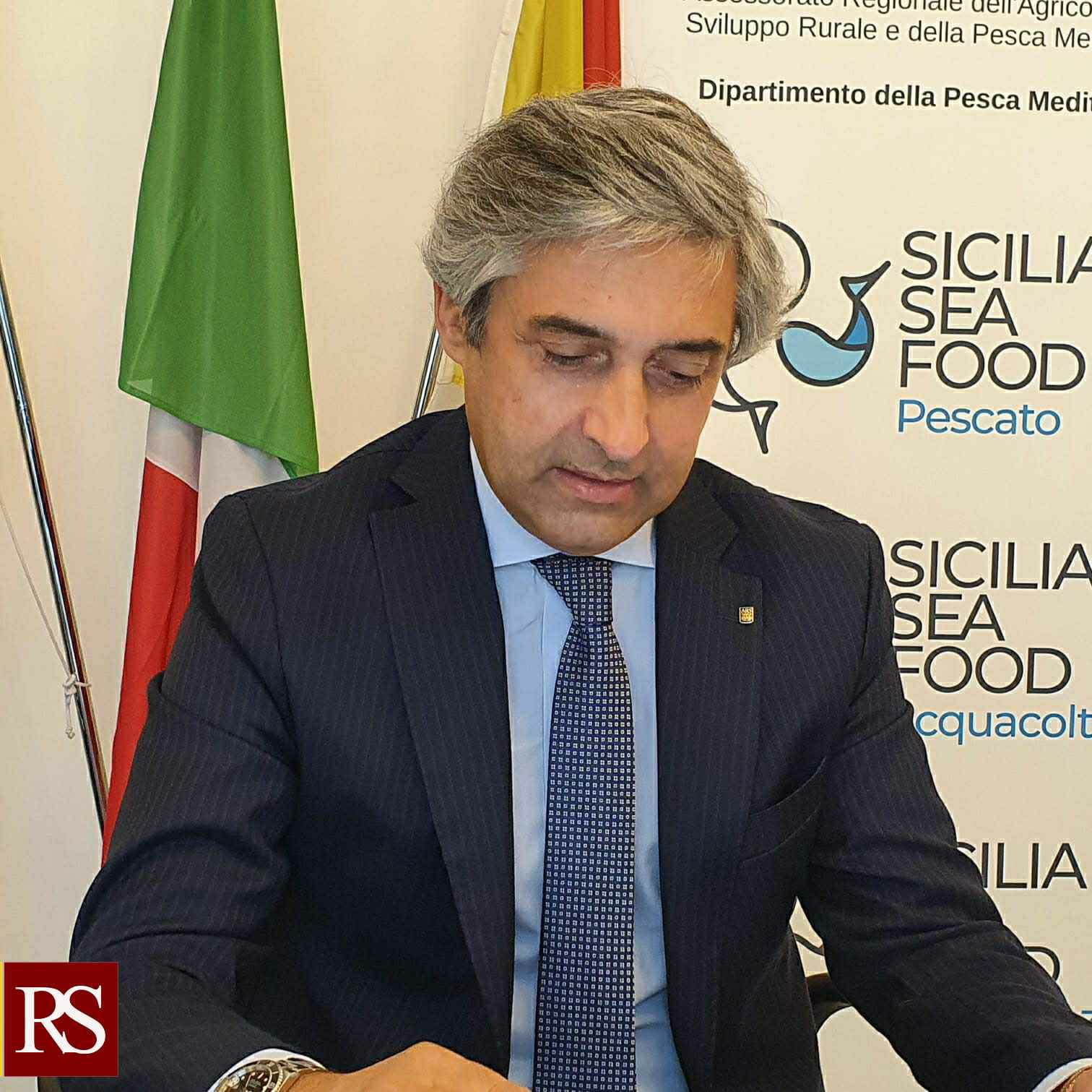 OCM Vino, Scilla: “Bando finalizzato alla qualificazione della viticoltura in Sicilia”