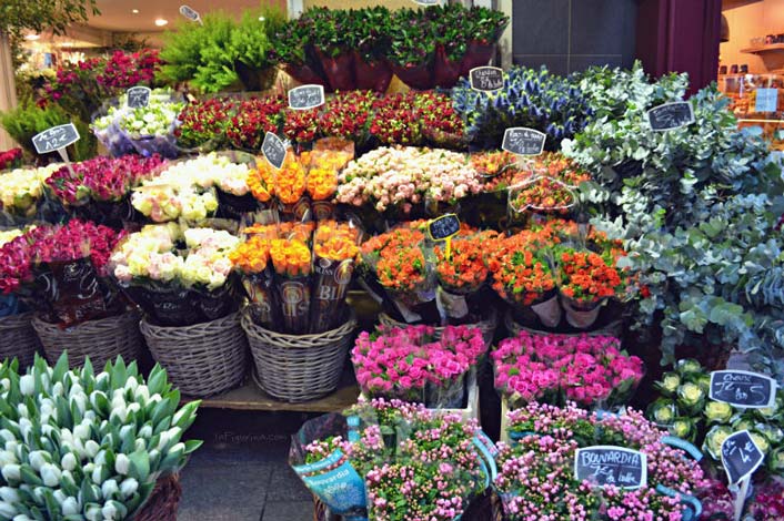 “BonuSicilia – Fiorai”: contributi a 644 imprese, nuovo bando ad agosto