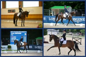ROMA (ITALPRESS) - La Federazione Italiana Sport Equestri ha individuato i componenti della squadra...