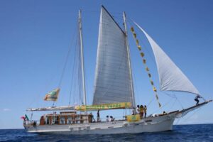 Continua il viaggio di Goletta Verde lungo le coste italiane, in cerca di criticità, inquinamento e...