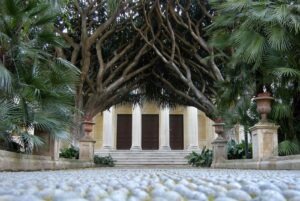 L’Orto Botanico di Catania dell’Università di Catania riapre le porte ai visitatori. Dopo la...