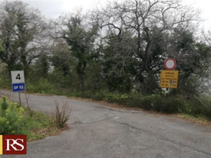 «Ancora un progetto esecutivo sulla viabilità per rimettere in sesto due arterie delle Madonie: la...