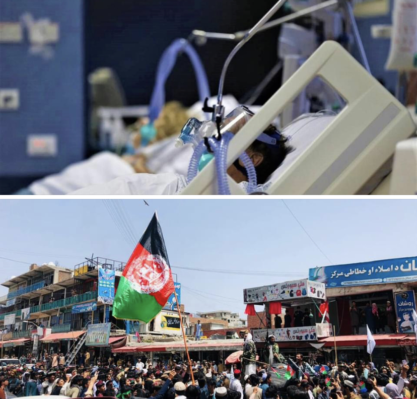 Tanomattinale 19 agosto 2021: zona gialla e lacrime di coccodrillo, democrazia e sharia