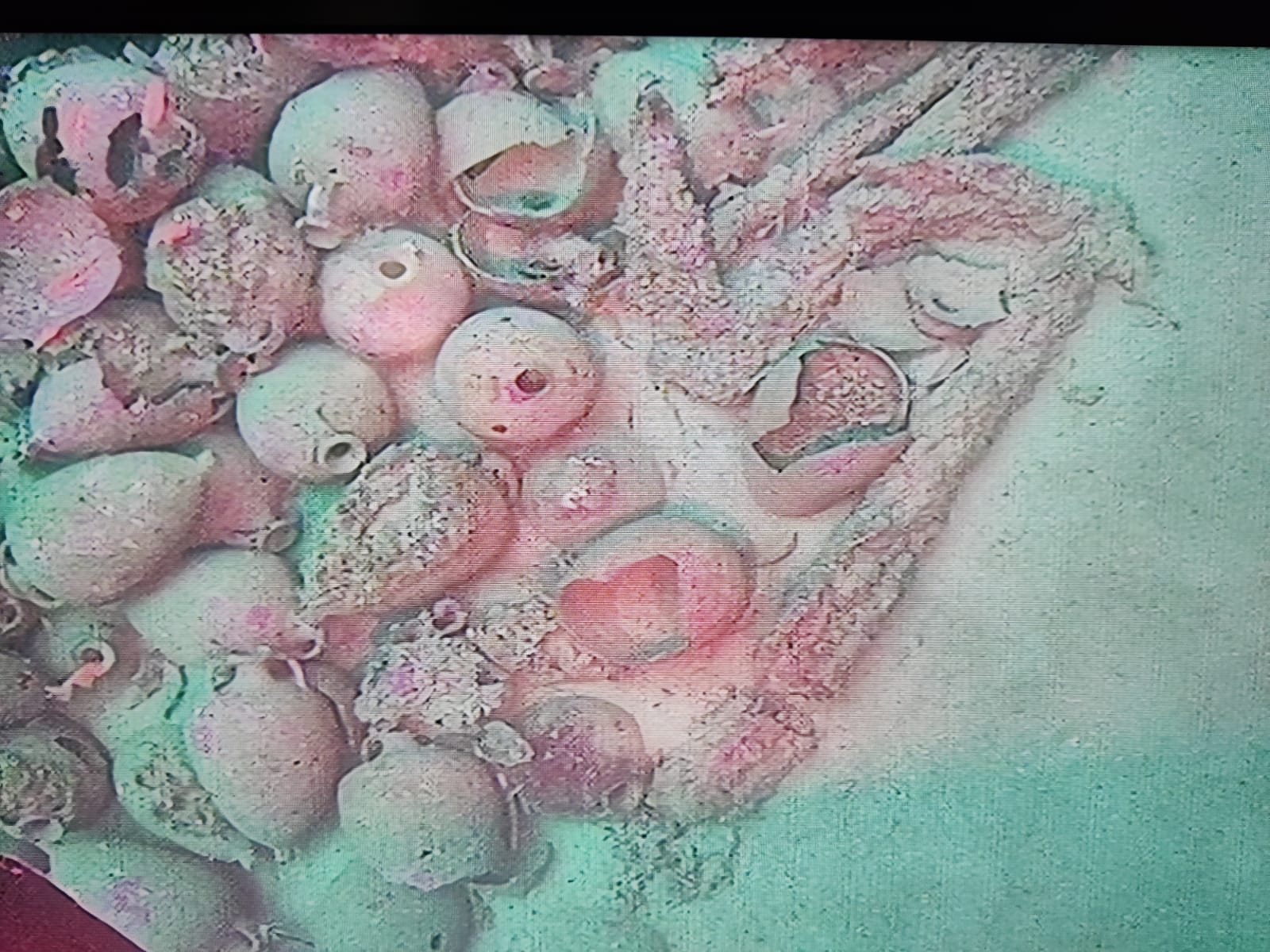 Una nave romana del IV-V secolo a 98 metri nel mare delle Egadi