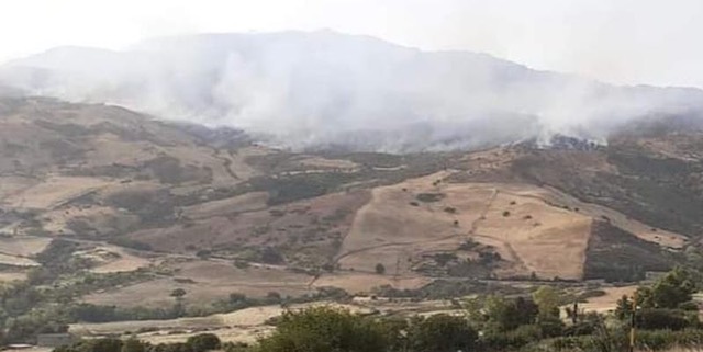 Incendi in Sicilia, danni incalcolabili per la zootecnia: l’allarme della CIA