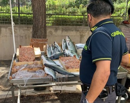 Sequestrati 18 chili di pesce non tracciato nel palermitano