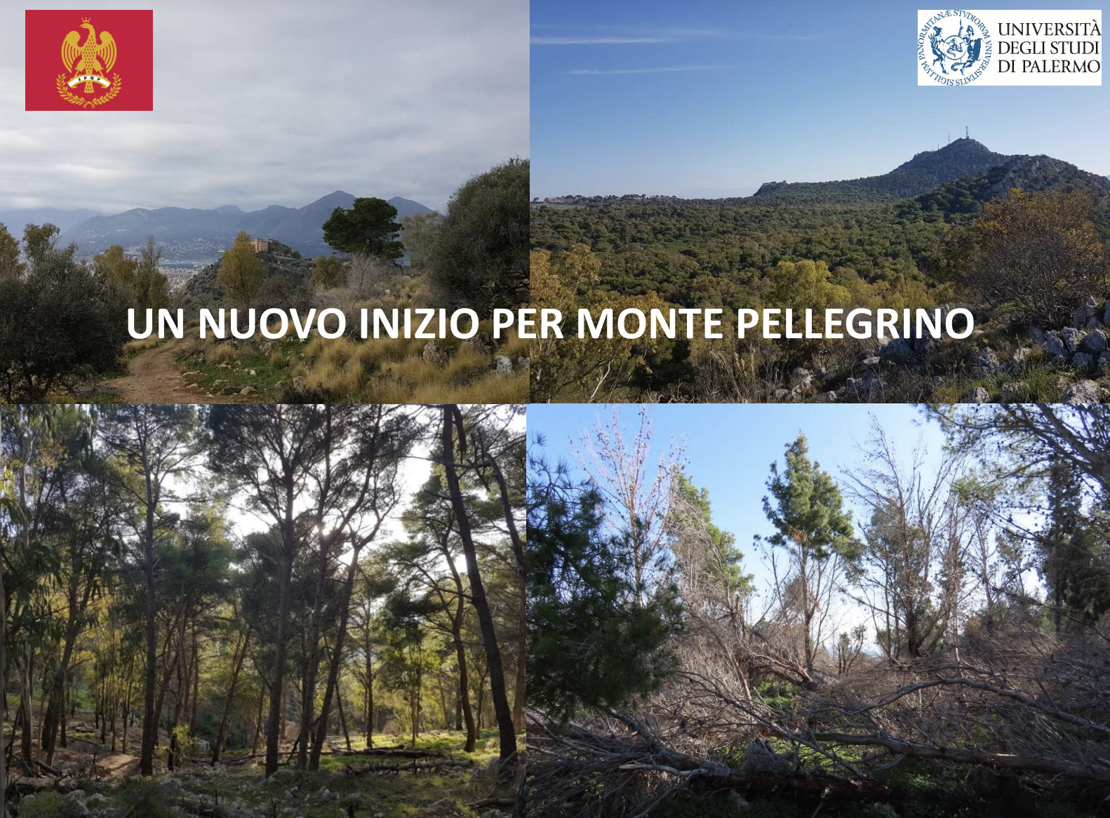 Presentato a Villa Niscemi piano forestale Monte Pellegrino