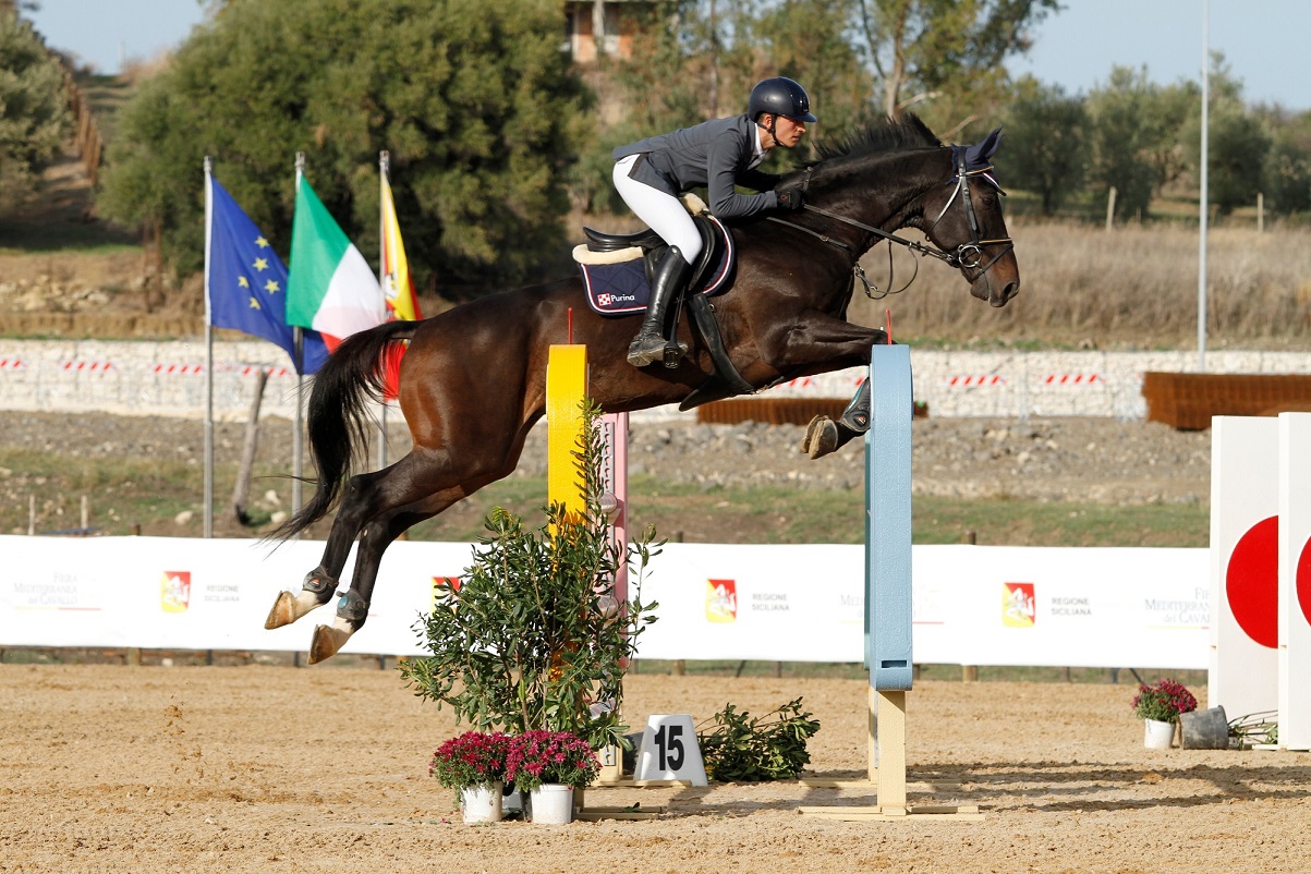 Equitazione, Coppa degli Assi torna ad Ambelia: 8 – 10 ottobre