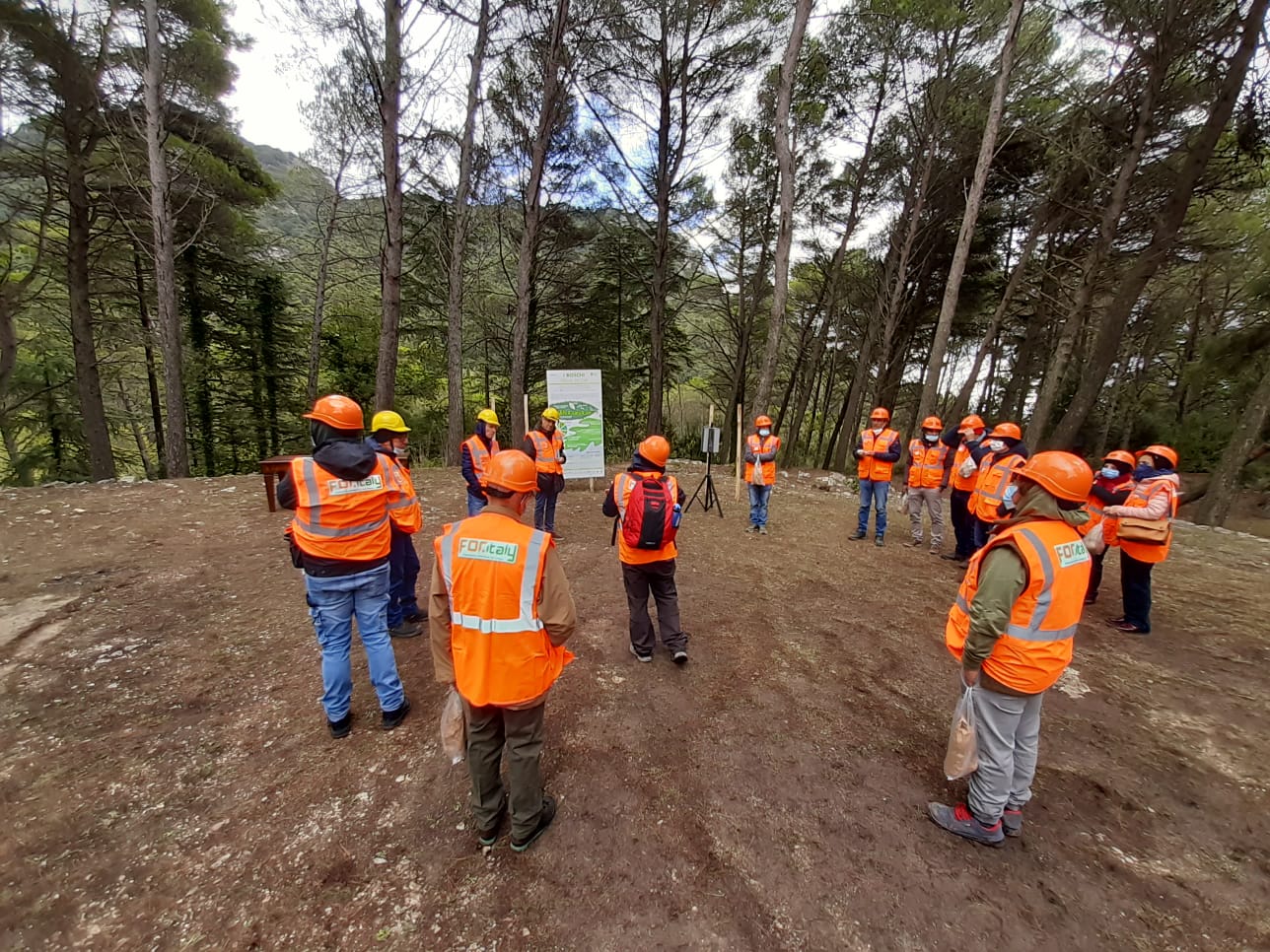 Antincendio, formazione per 1.200 volontari al fianco di Corpo forestale