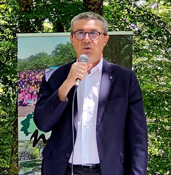 Insediato tavolo tecnico-scientifico per alberi monumentali