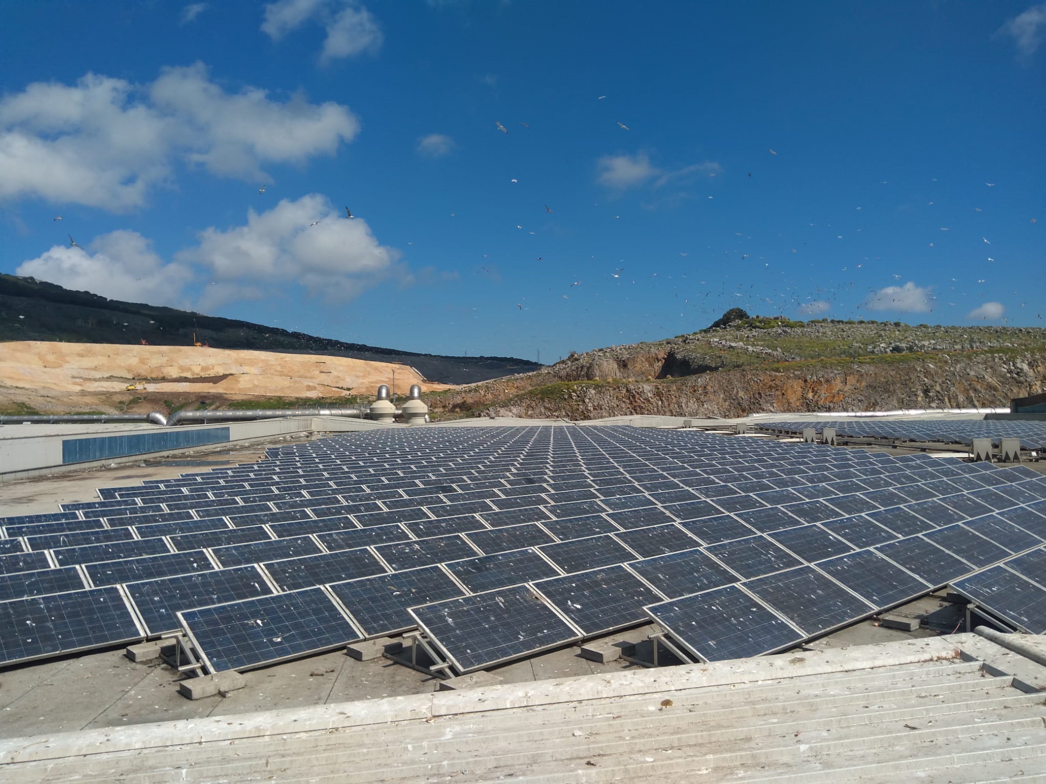 Bellolampo, impianto fotovoltaico per produrre energia green