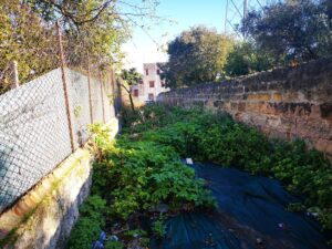 "Dopo decenni di abbandono è stata finalmente restituita alla città una stradella in via Molara...