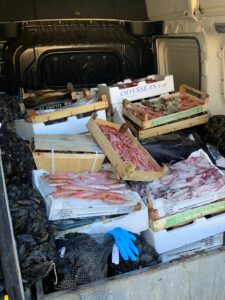 Nei giorni scorsi si conclusa un’attività complessa di contrasto alla pesca illecita, disposta e...