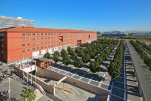 MILANO (ITALPRESS) – L’Università di Milano-Bicocca fra le “Top Universities” a livello mondiale in...