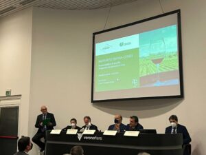 VERONA (ITALPRESS) – Il vino si conferma come un prodotto strategico per l’economia italiana, con un...