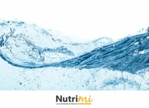 PRATELLA (CASERTA) (ITALPRESS) – Acqua Lete, in collaborazione con Nutrimi, ha condotto un’indagine...