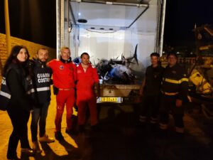 Con il sopraggiungere della stagione di pesca del tonno rosso, si intensificano le attività di...