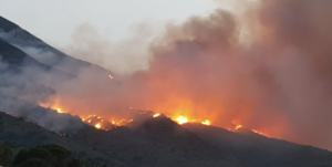 "Il comando del Corpo forestale della Regione Siciliana a Messina sta coordinando l’intervento aereo...