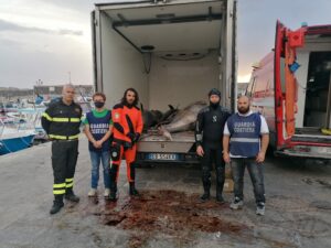 Prosegue l’attività di contrasto alla pesca illecita del tonno rosso condotta in questi giorni da...