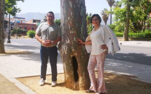 “Sono circa 100 gli alberi che a Palermo sono a rischio caduta immediata. Questi sono i dati che...