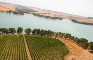 Secondo i dati diffusi dall'Associazione italiana enti di bacino, la Sicilia è la regione italiana...