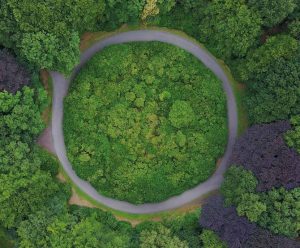 RIMINI (ITALPRESS) – Raccolta selettiva, tracciamento del rifiuto e formazione continua. E’ la...