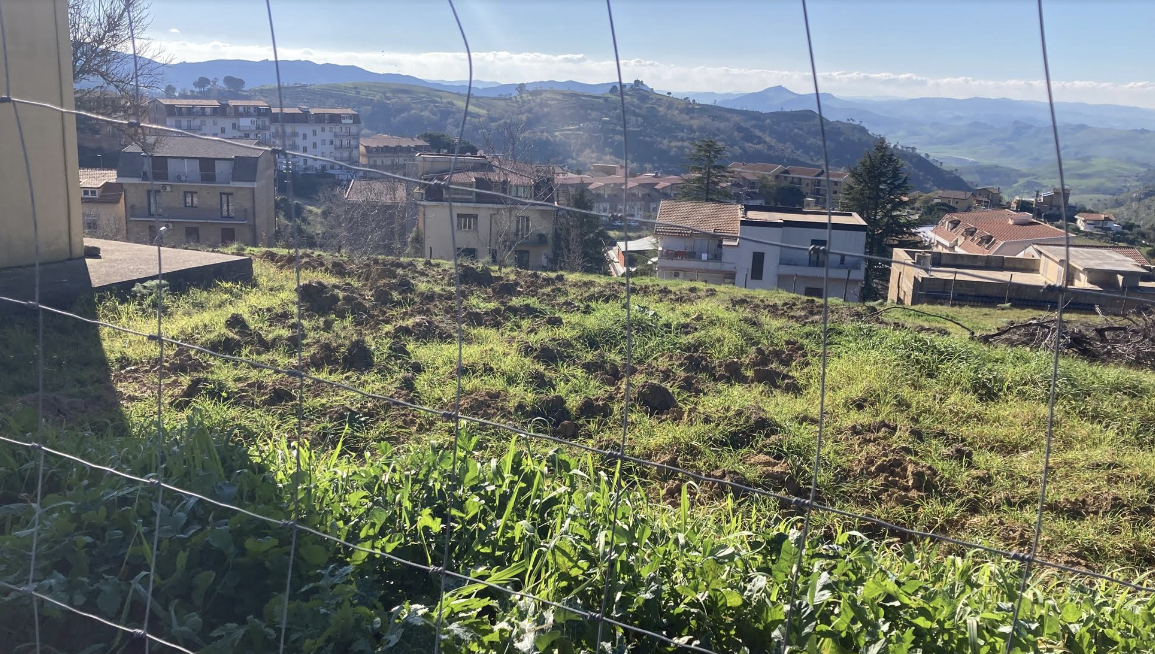 Conclusi i lavori nei tre terreni di Calascibetta dove nascerà la “Fattoria Sociale del Welcome”