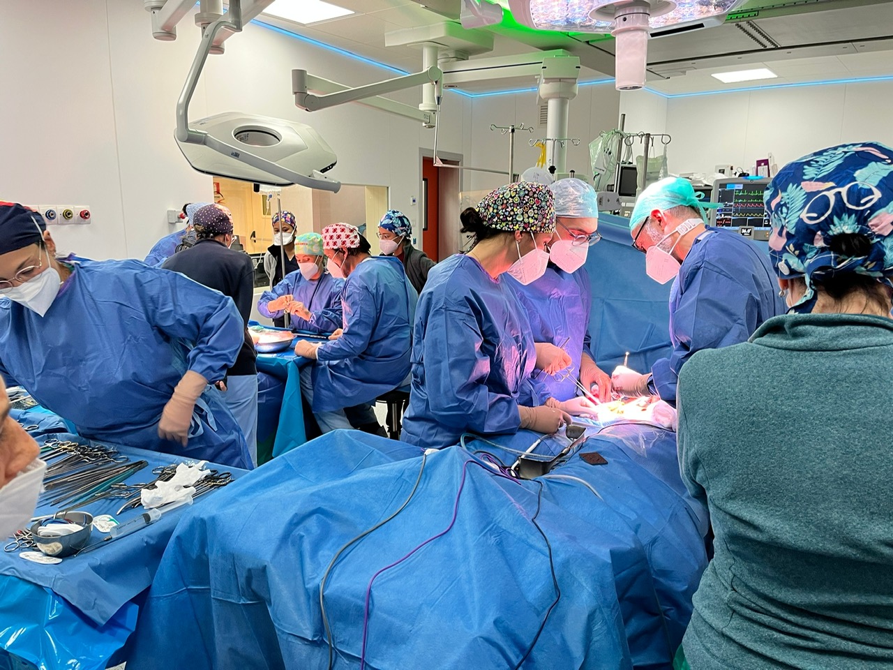 Policlinico San Marco: ricco inizio d’anno per trapianti e prelievi d’organo