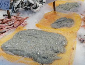 Nell’ambito delle attività di controllo sulla filiera della pesca, gli ispettori pesca del Reparto...
