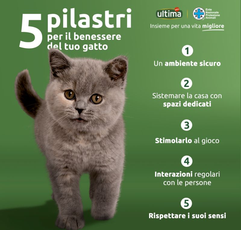 Ultima Petfood ed Enpa insieme in un progetto per gatti e cani