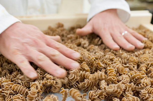 Insetti nei cibi, Sammartino: “Serve etichettatura più evidente”